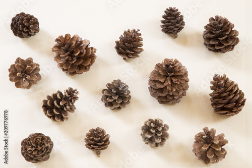 Pinecones