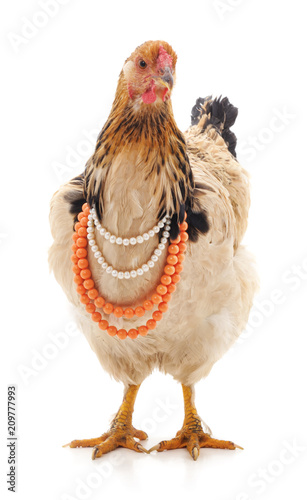 Chicken in a necklace.