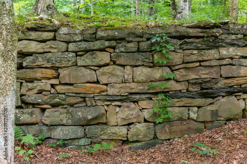Stone wall ruins hidden deep in a forest.