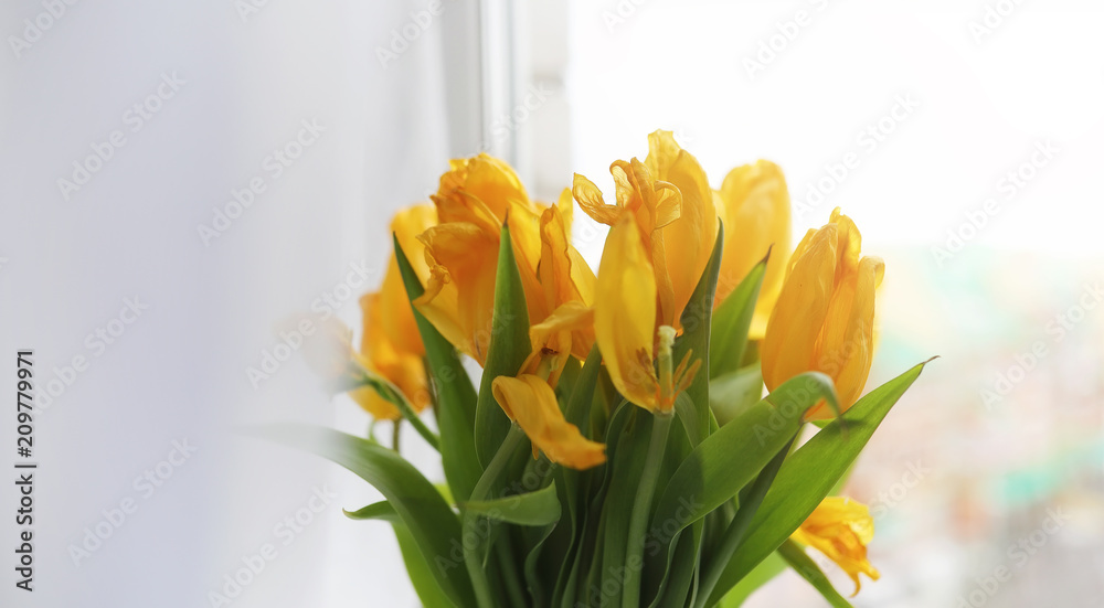 A bouquet of red tulips in a vase on the windowsill. A gift for A bouquet of red tulips in a vase on the windowsill. A gift for