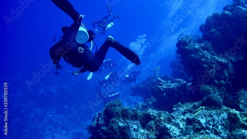 Wallpaper Mural Mexico 2018 IntFrame Torontodigital.ca