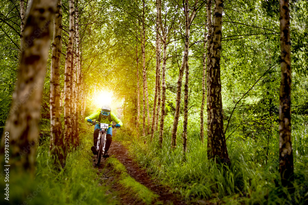 Obraz premium Mountainbiker rides in forest