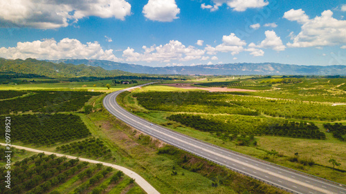 Tropical Caribbean Countryside road in Jamaica