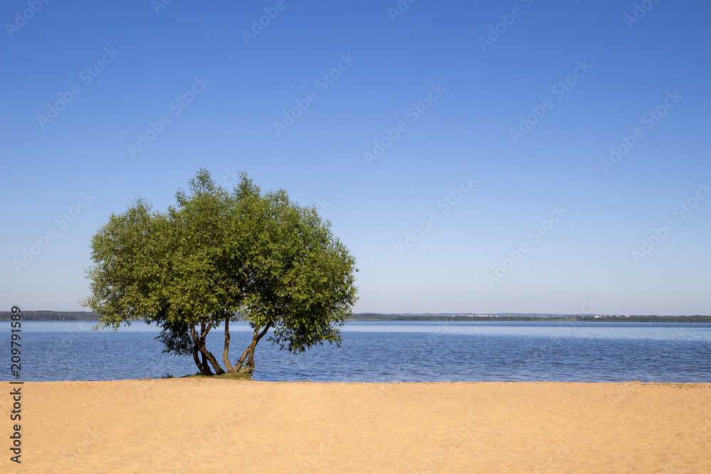 Landscape, bright day. Water travels, sand, sky