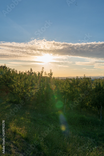 Sonnenuntergang im Obsthügelland © lexpixelart