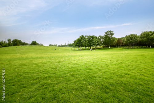 Fototapeta Naklejka Na Ścianę i Meble -  Green lawn in urban public park