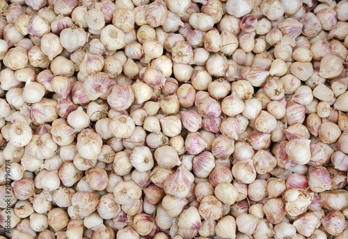 garlic on market stand.