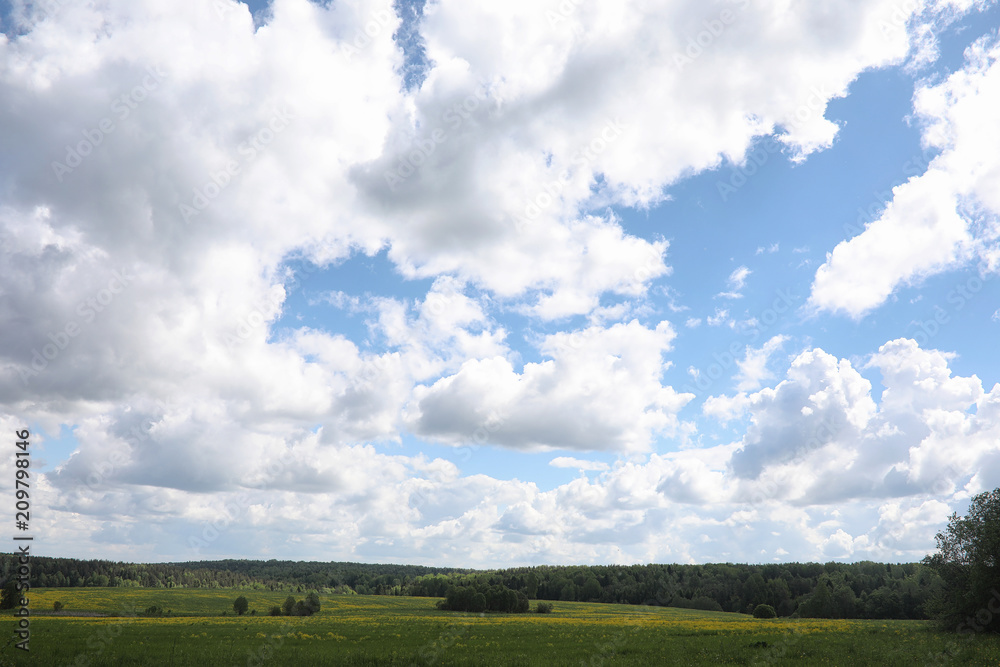 Landscape is summer. Green trees and grass in a countryside land Landscape is summer. Green trees and grass in a countryside land