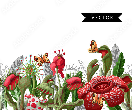 Seamless border with plant predators flowers such as Venus flycatcher, sundew and  other. Unique floral illustration.