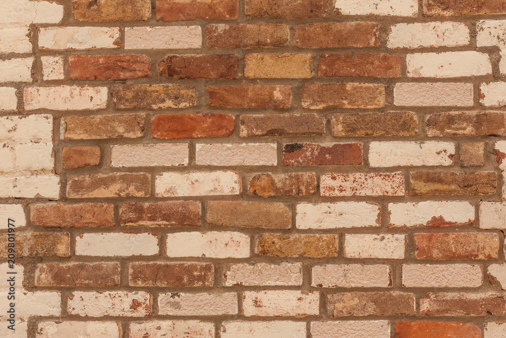 Fototapeta premium red and brown wall bricks 