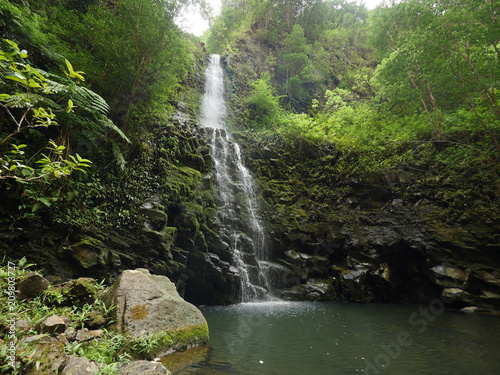 Fototapeta Naklejka Na Ścianę i Meble -  Tropical Hawaiian waterfall Koloa gulch falls panoramic view east Windward side of Oahu