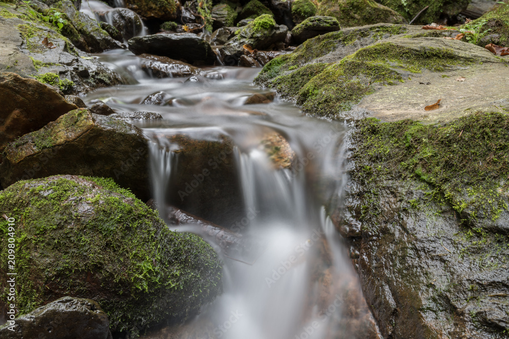 Fototapeta premium Kremiges Wasser