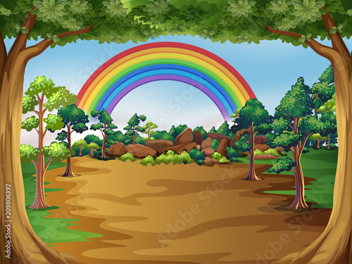 A Beautiful Forest Landscape