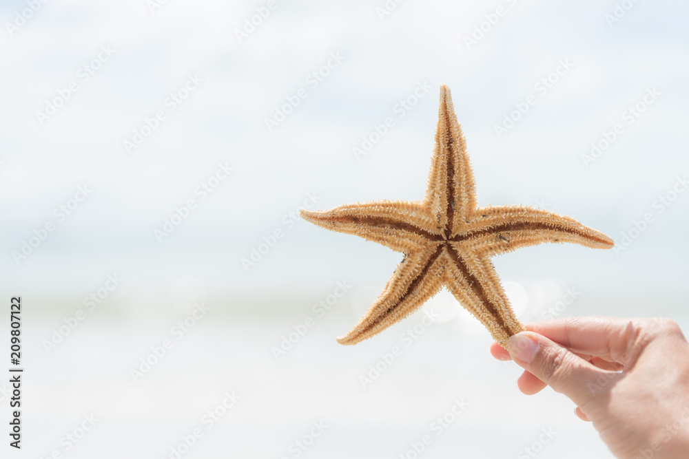 woman hand holding starfish over sea and Sandy beach in background for summer holiday and vacation concept. woman hand holding starfish over sea and Sandy beach in background for summer holiday and vacation concept.