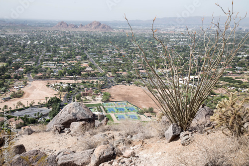 Ocatillo desert plant above Scottsdale, Arizona and a tennis court photo