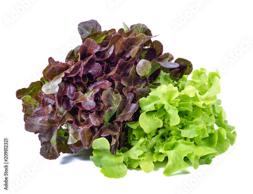 green and red lettuce isolated on white background photo