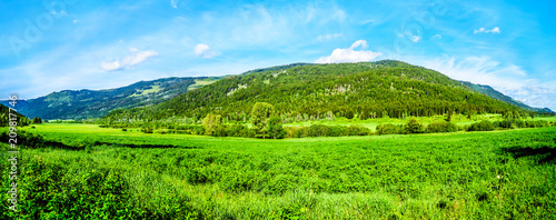 Lush Grasslands along Highway 5A, the Kamloops-Princeton Highway, between the towns of Merritt and Princeton in British Columbia, Canada
 photo