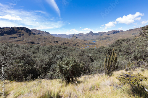 forest and panoramic view Cajas park