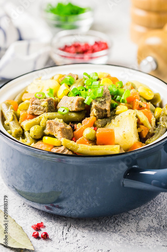 Vegetables and meat stew in a pot. Selective focus, space for text.