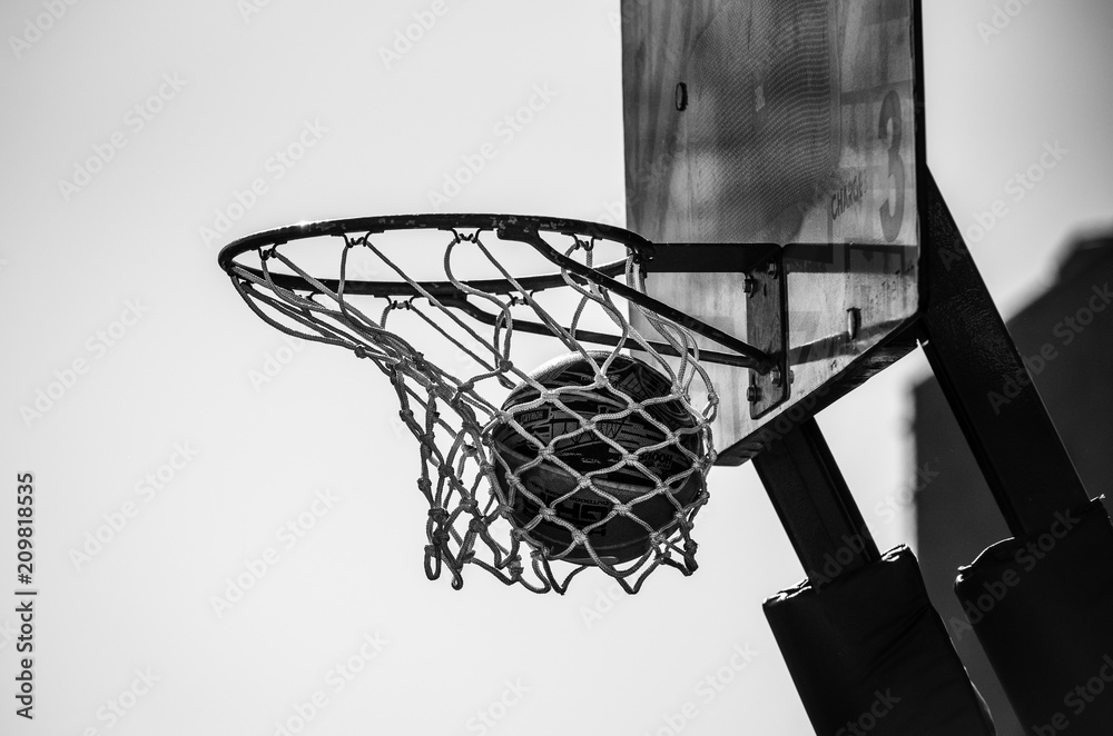 Swish basket sale