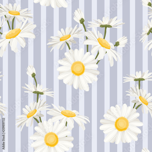 Fototapeta Naklejka Na Ścianę i Meble -  Daisy chamomile field flowers seamless pattern