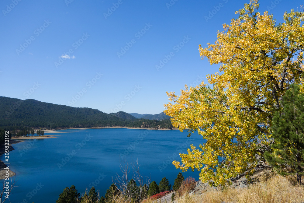 Cottonwoods along a blue lake