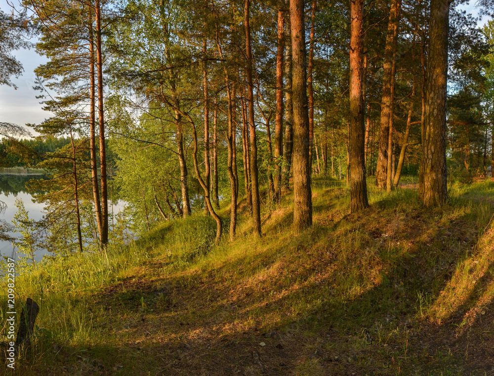 Fototapeta premium Letni zachód słońca na brzegu kamieniołomu. Zanikające światło słońca.