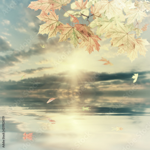 Canvas Print Vintage branch with autumn foliage