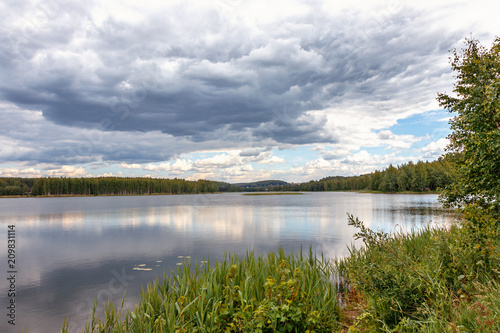 forest lake in summer, cloudy sky