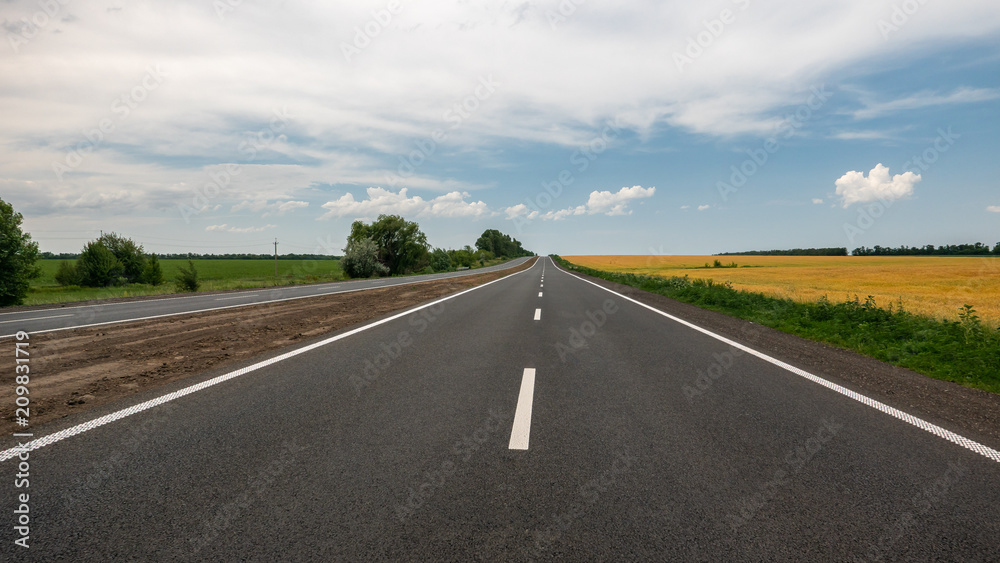 Highway with white markings of honey flowering fields of wheat.Ukraine