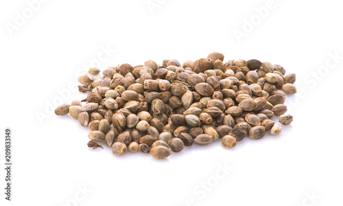 Heap of hemp seeds on white background