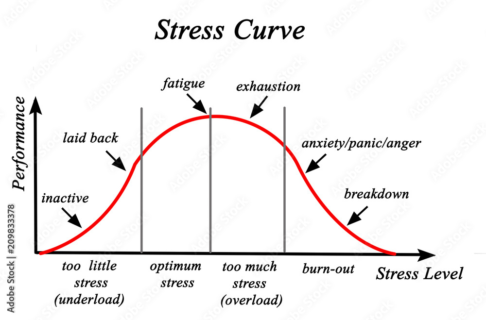 Stress and Performance Curve. Stock Illustration | Adobe Stock