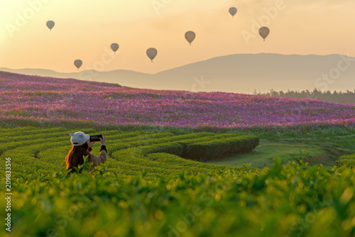 Lifestyle traveler women take a photo fire balloon on the nature tea and cosmos farm in the sunrise morning, happy feeling good relax and freedom. Travel Concept © freebird7977