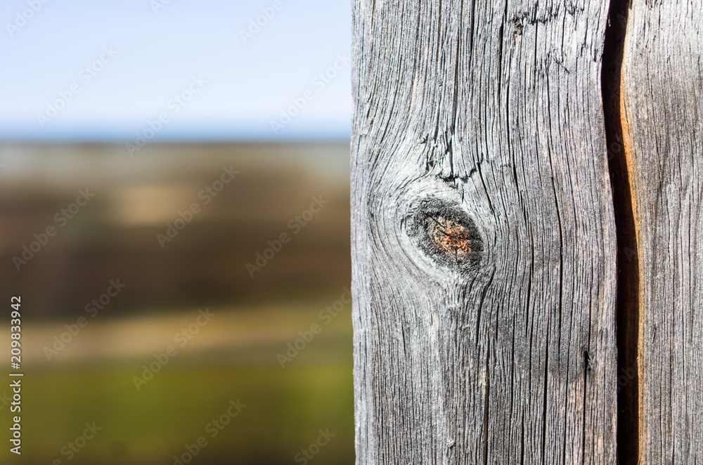 Fototapeta premium Background old planks with knots and cracks