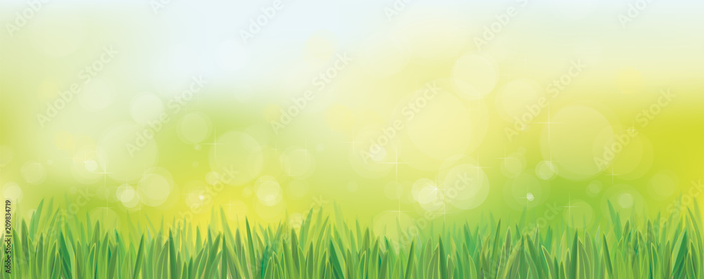 Vector  nature background, blue sky and green grass. Bokeh nature background.