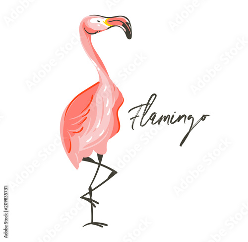 Hand drawn vector abstract cartoon summer time graphic decoration illustrations art with exotic tropical pink flamingo bird isolated on white background