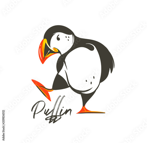Hand drawn vector abstract cartoon summer time graphic decoration illustrations art with Icelandic puffin bird isolated on white background photo