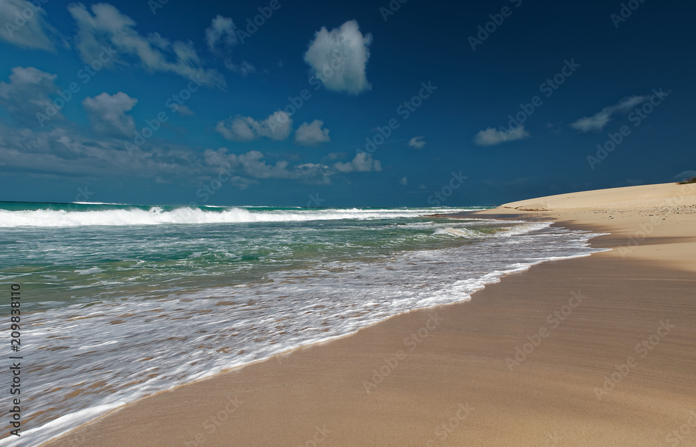 Obraz premium Island Boa Vista in Cape Verde, landscape - seaside