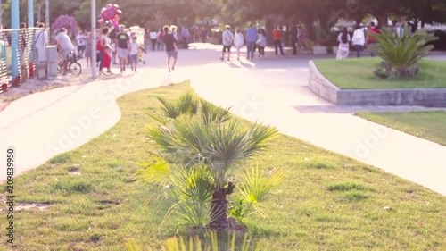 Panning in slow motion di palme su lungomare. Passanti in lontananza. Flare dell'obiettivo. Luce tramonto intensa