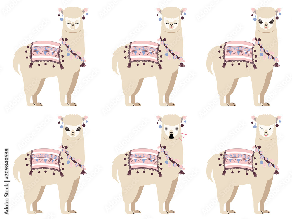 Obraz premium Cartoon alpaca character