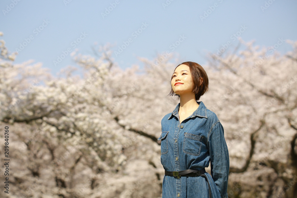 桜と女性