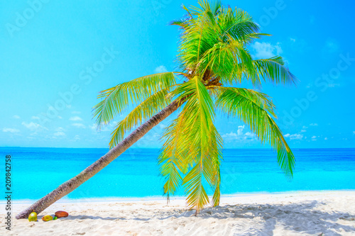 Fototapeta Naklejka Na Ścianę i Meble -  Dream palm on the beach