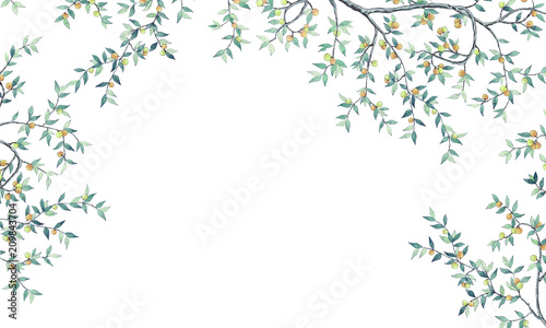 Tree with yellow fruits, branches and leaves