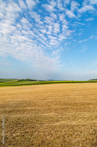 A Sussex farm landscape during summer