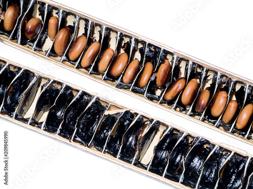 Vászonkép Cassia fistula seed