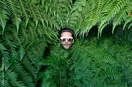 Into The Wild photo