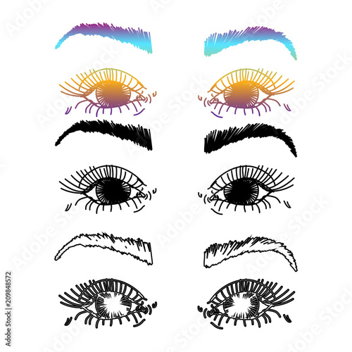 Female Eyes and Eyebrows. Beauty Industry Design Elements Vector Illustration. Idea for business visit card, typography vector.