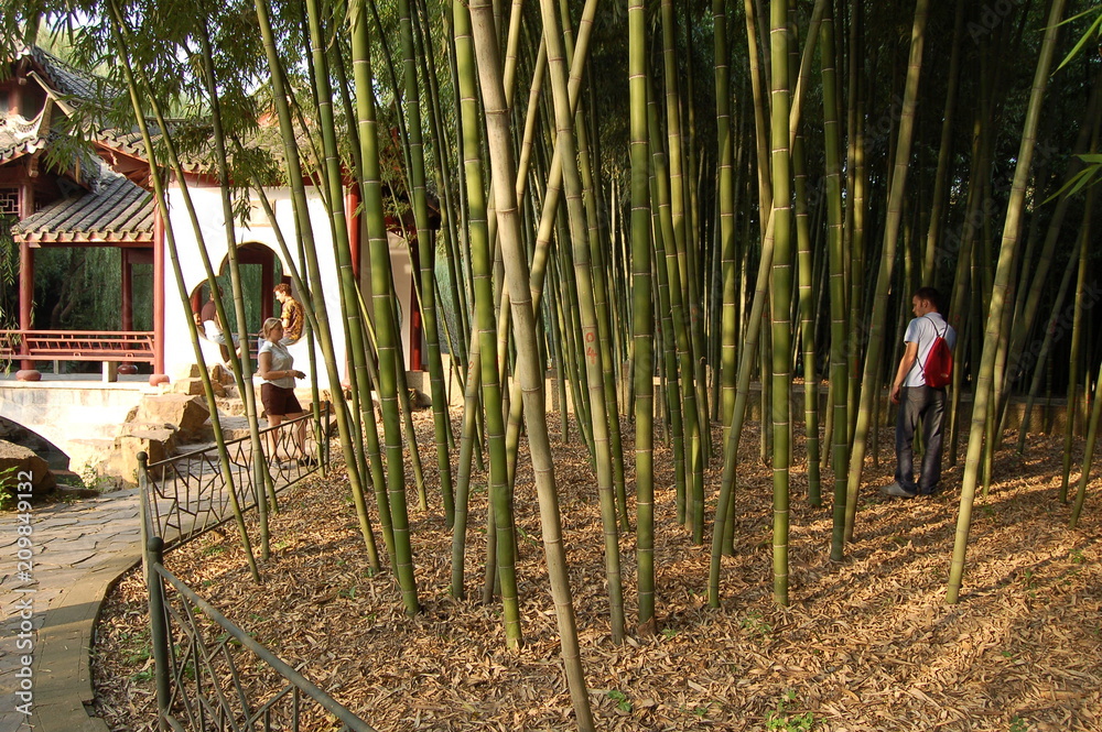 Fototapeta premium Chine