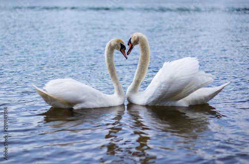 a pair of beautiful white lovers in love with each other