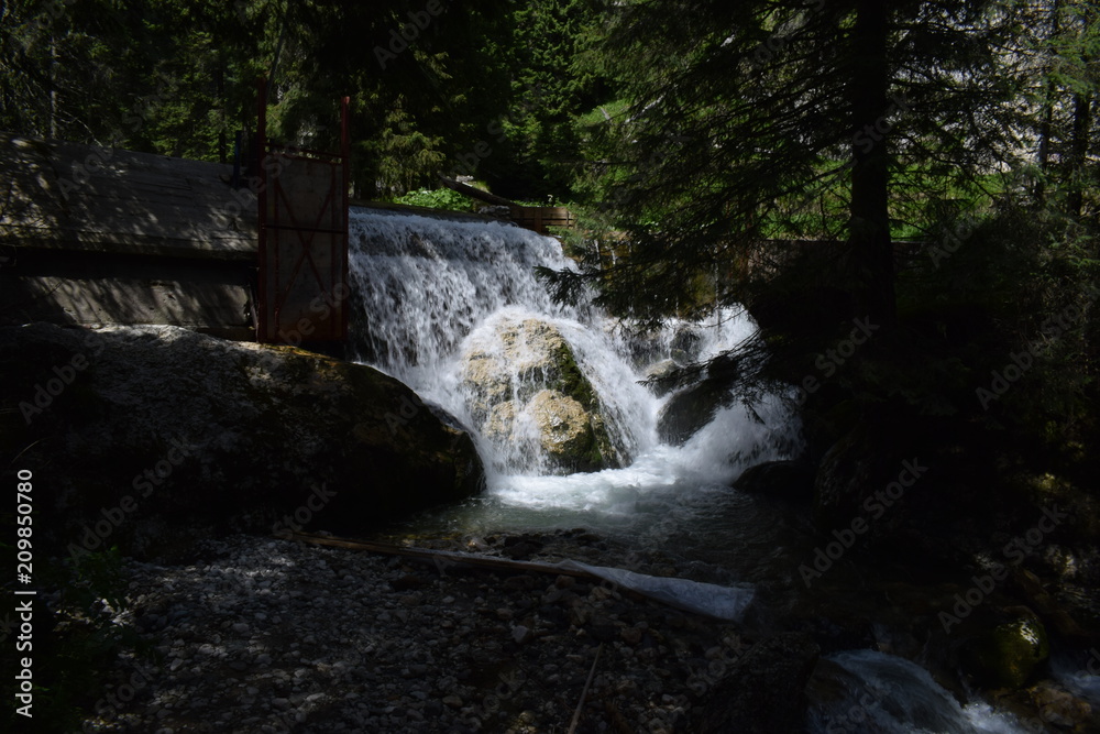 Obraz premium Nature